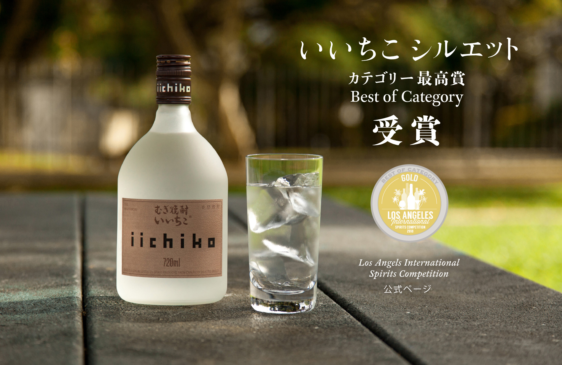 いいちこ 麦 25度 本州のみ 麦焼酎 あす楽対応 瓶 日本 ケース販売 × 12本 900ml 送料無料 大分 三和酒類