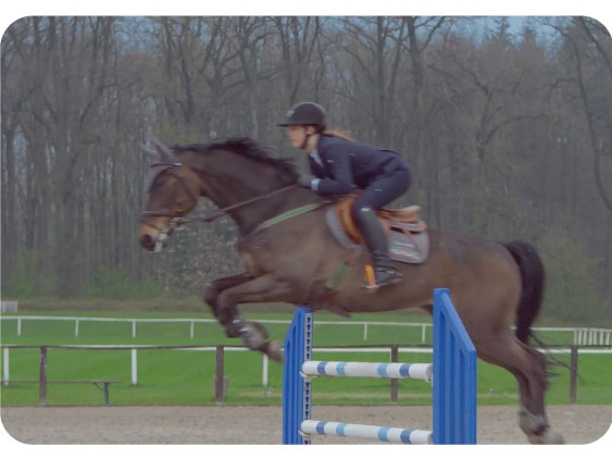 2019 / Equestrian篇