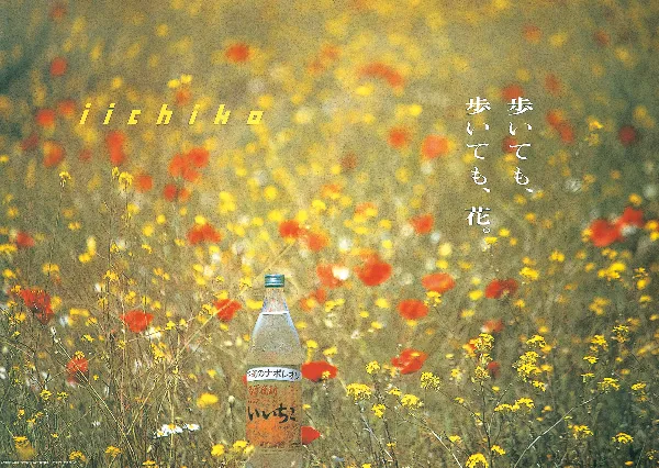 Merry Christmas楽しみも届いて、さあ森のクリスマスです。 - iichiko