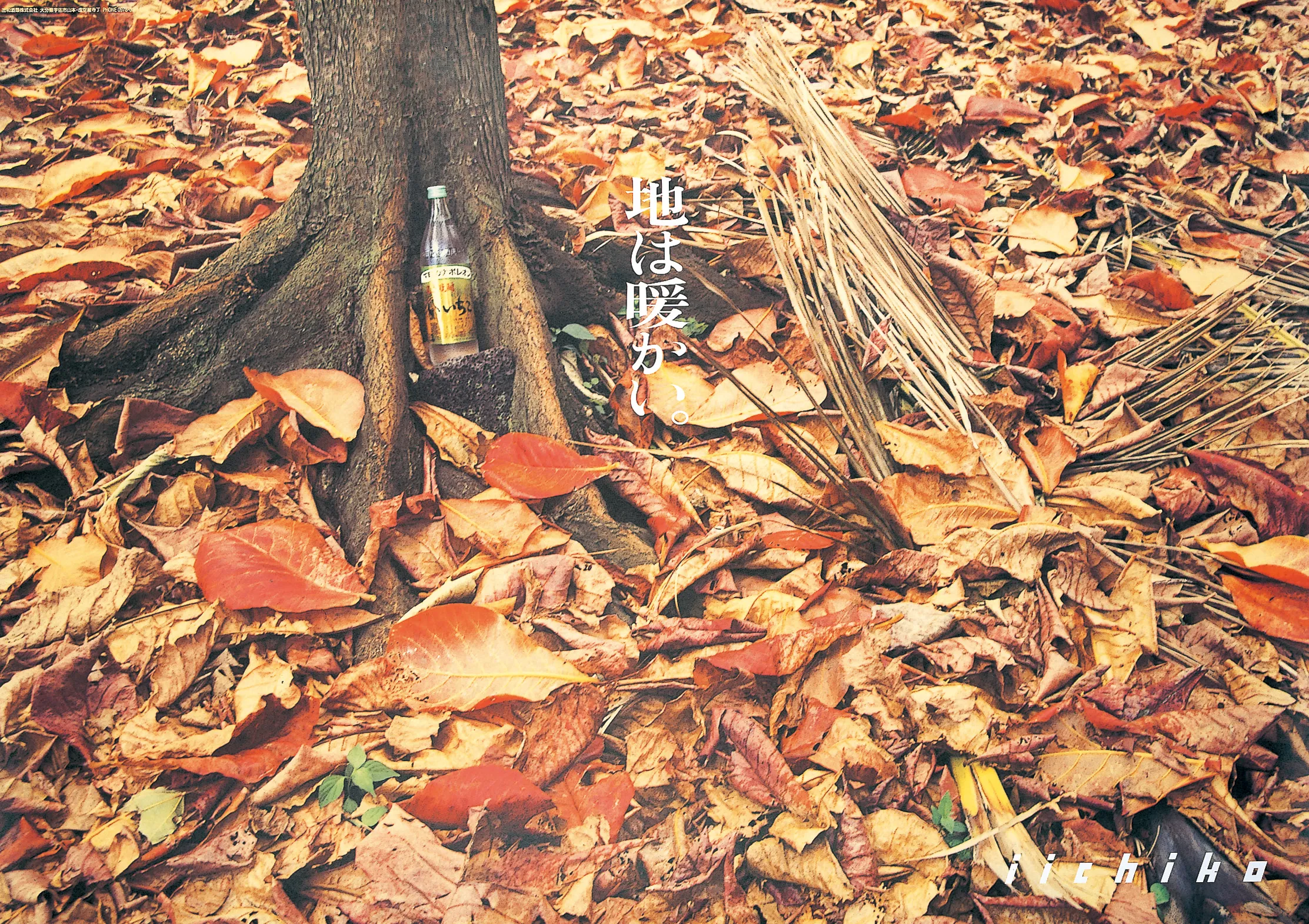 風、花に 遊ぶ。 - iichiko Gallery | 三和酒類株式会社