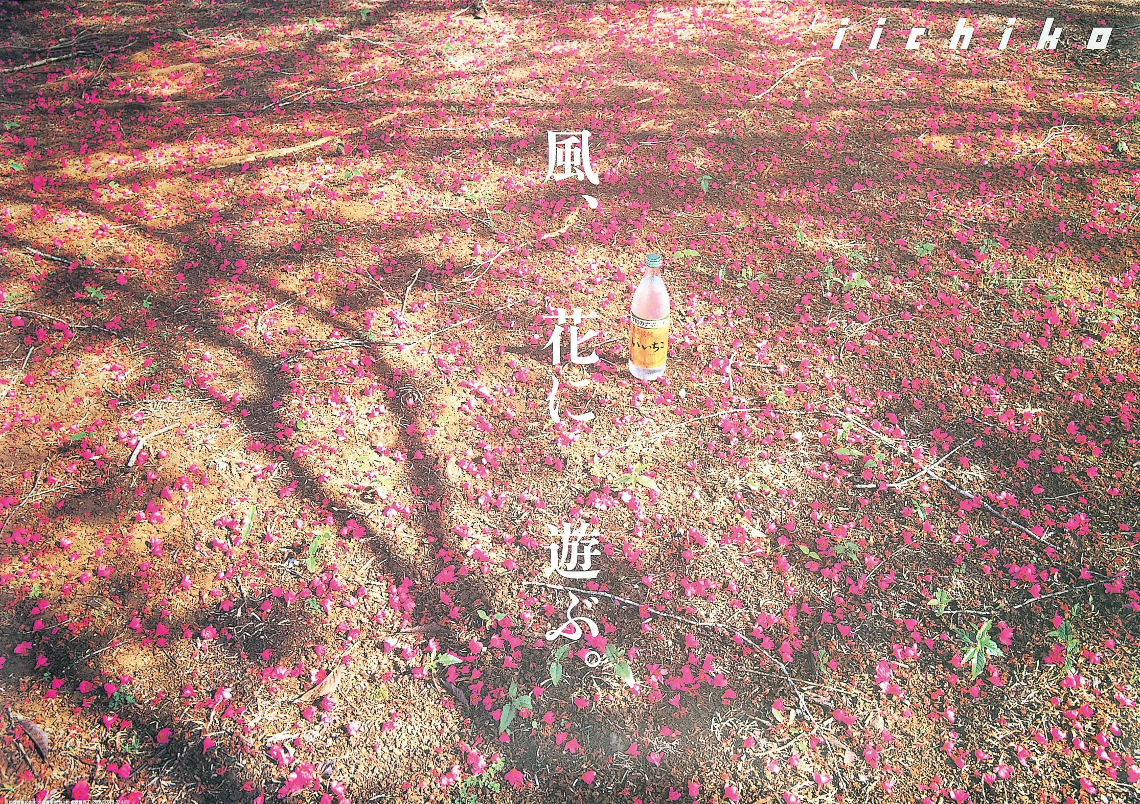 風、花に 遊ぶ。 - iichiko Gallery | 三和酒類株式会社