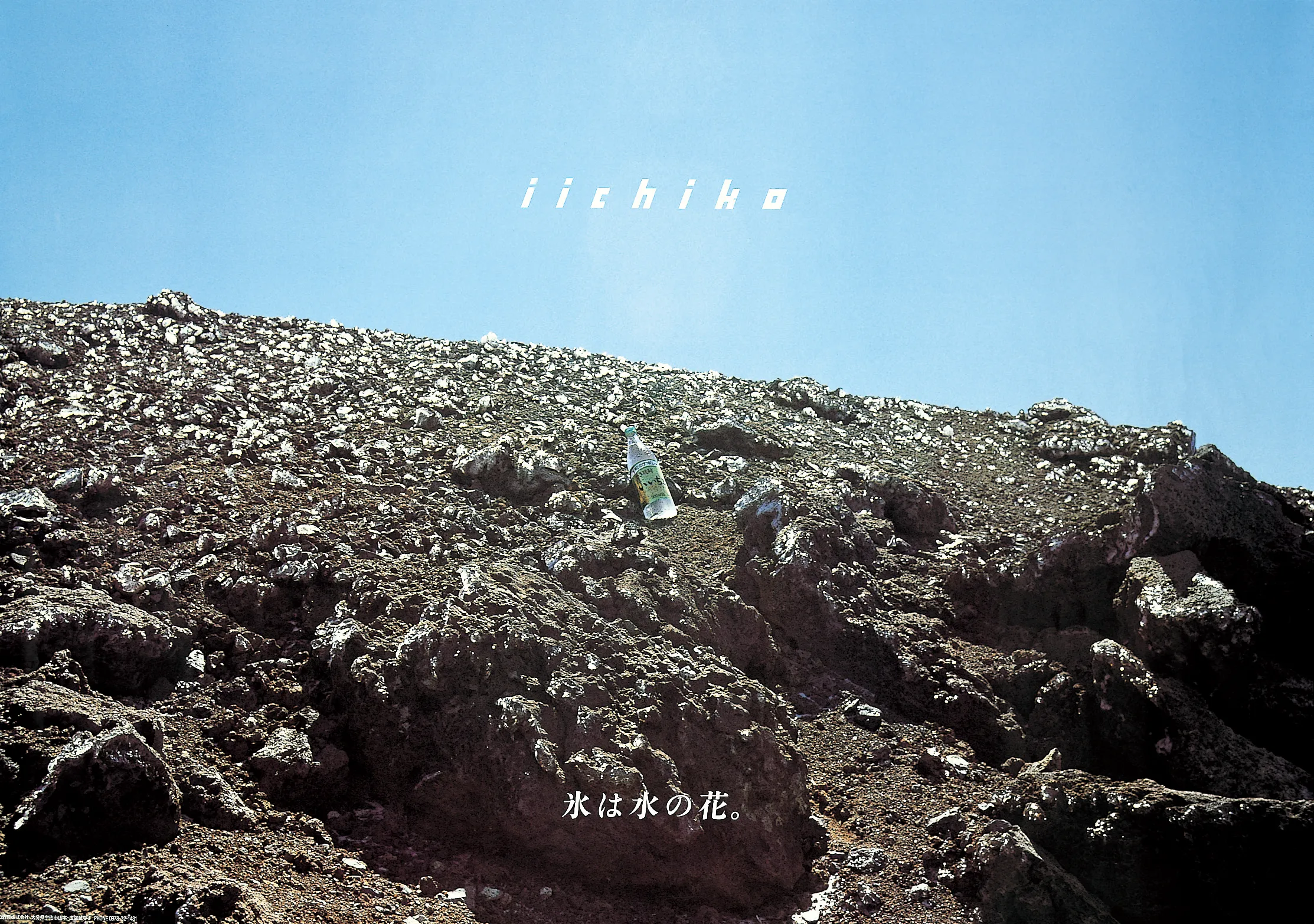 風、花に 遊ぶ。 - iichiko Gallery | 三和酒類株式会社