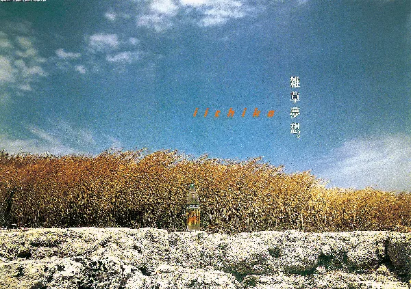 iichiko Gallery | 三和酒類株式会社