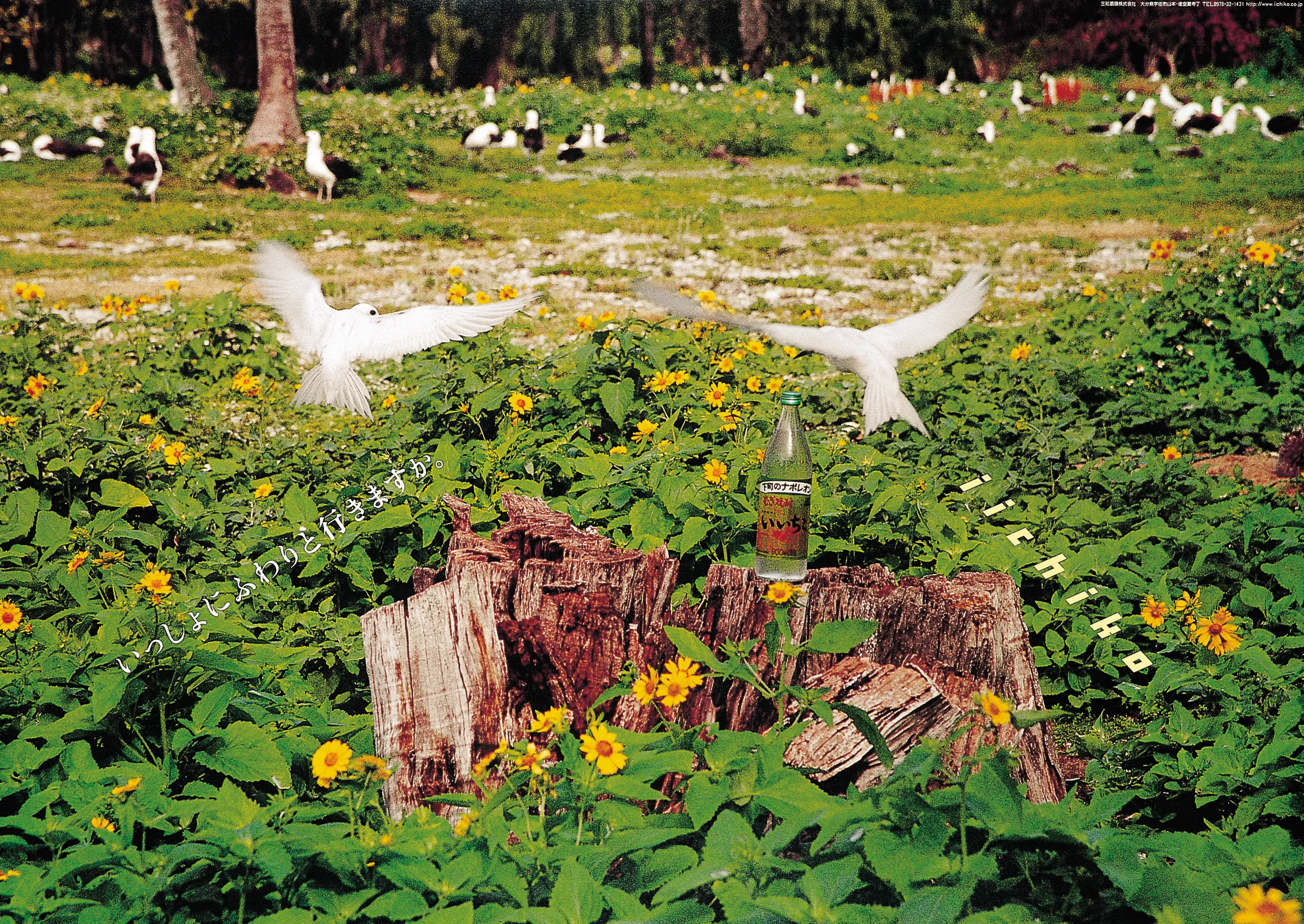 もちこページ ミントモール / MINT 浦和店 / 2024 BBM 2ndバージョン 吉瀬美智子