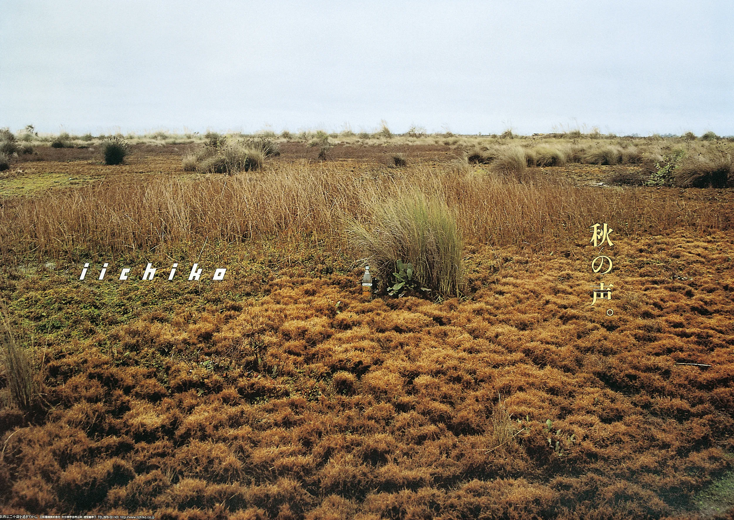 秋の声。 - iichiko Gallery | 三和酒類株式会社