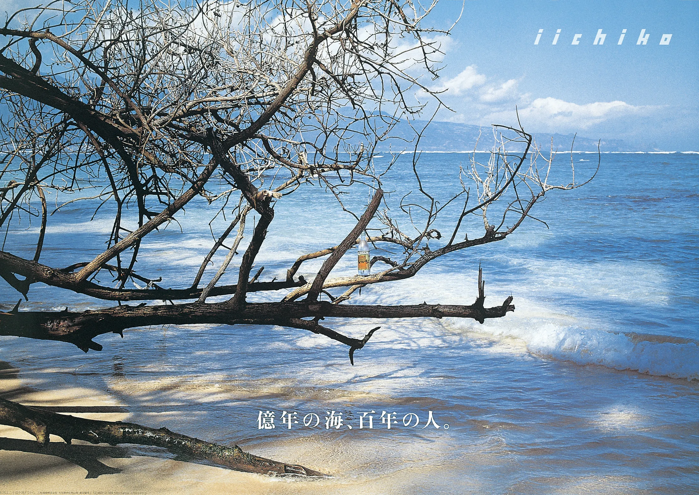 億年の海、百年の人。 - iichiko Gallery | 三和酒類株式会社