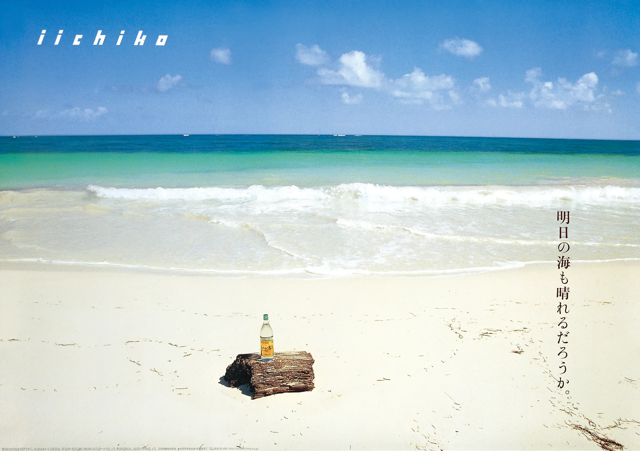 いちご白書('70米) 2枚組　海外版 明日の海も晴れるだろうか。 - iichiko Gallery | 三和酒類株式会社