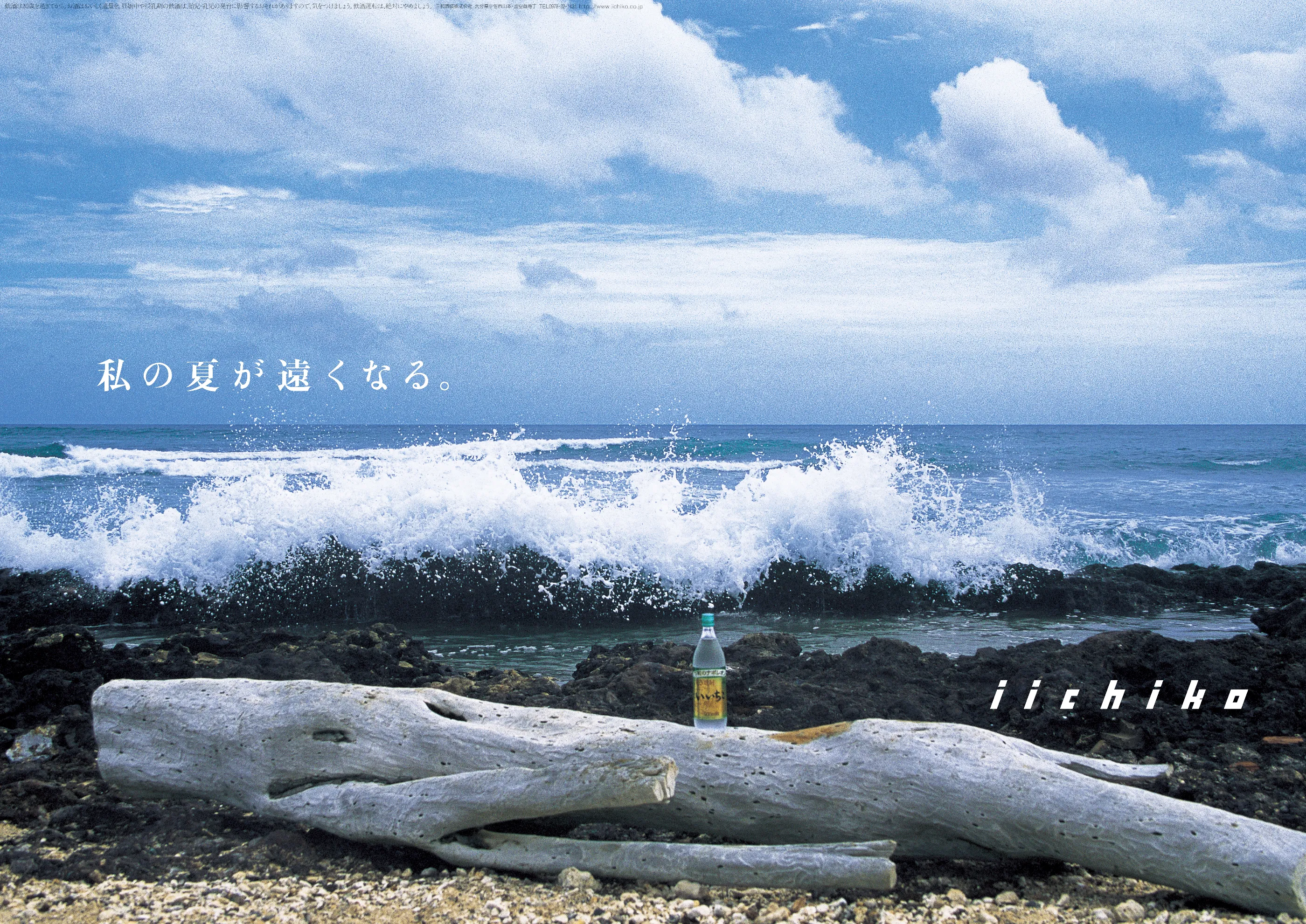 私の夏が遠くなる。 - iichiko Gallery | 三和酒類株式会社