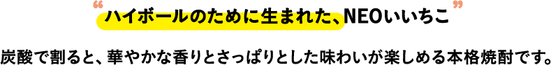 “ハイボールのために生まれた、NEOいいちこ” 炭酸で割ると、華やかな香りとさっぱりとした味わいが楽しめる本格焼酎です。